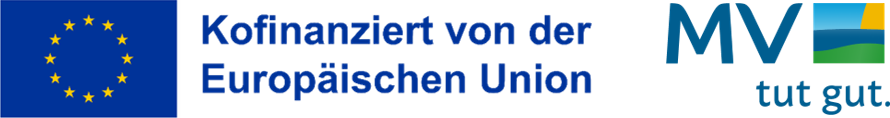 Logo Kofinanziert durch die EU